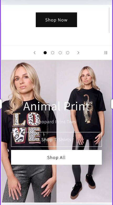 Why I Choose Shopify- How to Launch a Shopify Store in 10 Simple Steps