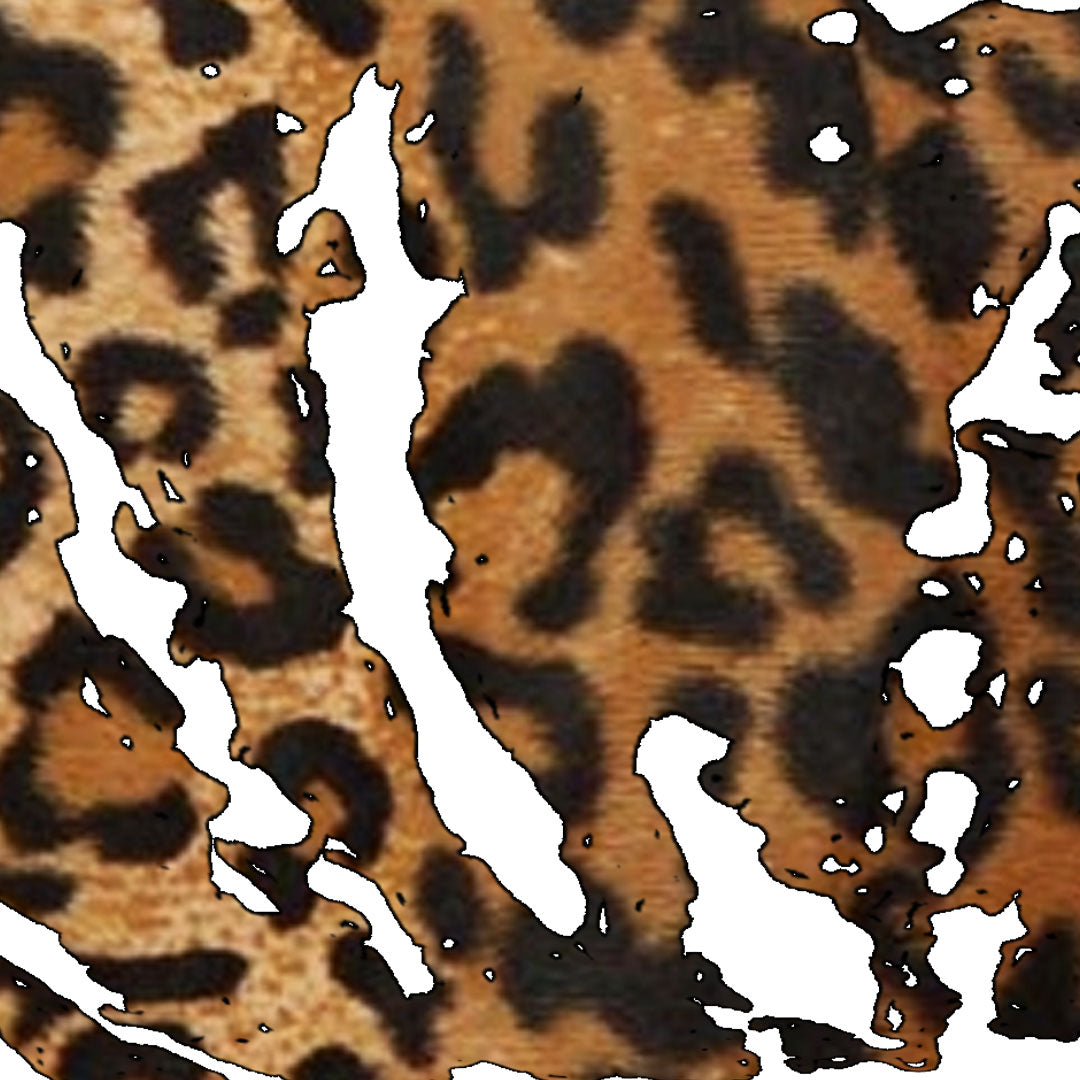 Leopard Print Graphic Oversize Top