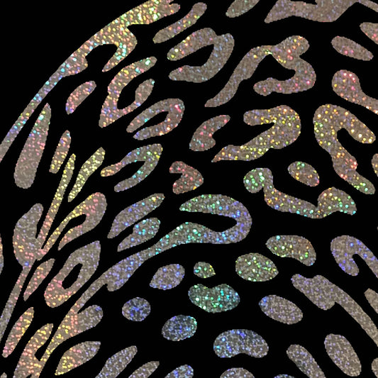 Gold Take the Leap Leopard jumper in Black