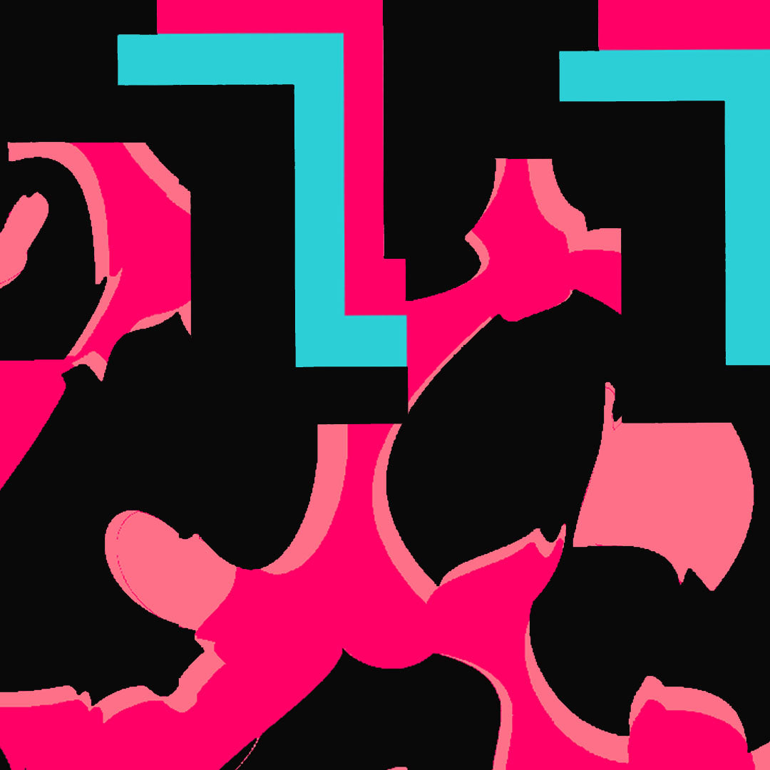 Wildly in Love Pink Leopard Graphic Text Sweatshirt in Black