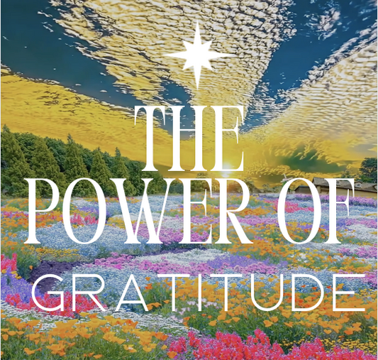 The Power of Gratitude